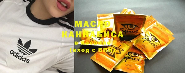 хмурый Аркадак