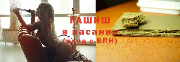 хмурый Аркадак