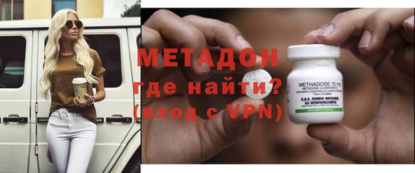 хмурый Аркадак