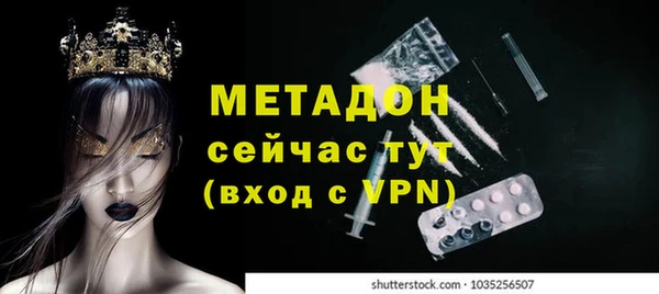 хмурый Аркадак
