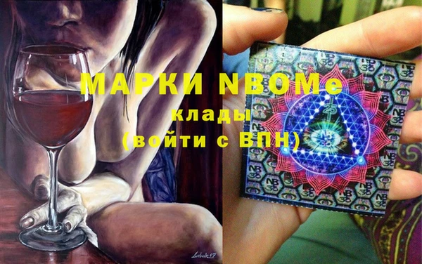 хмурый Аркадак