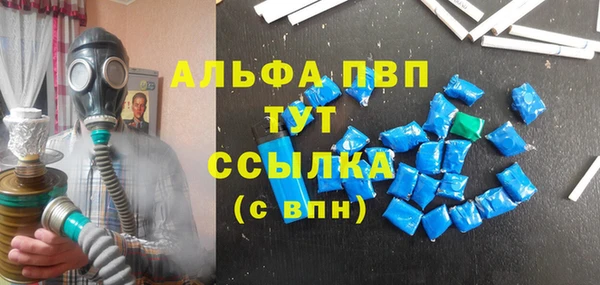 хмурый Аркадак