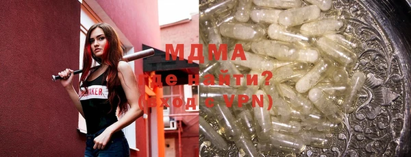 хмурый Аркадак