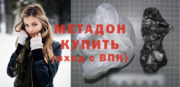 хмурый Аркадак