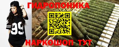 мдпв Рузаевка