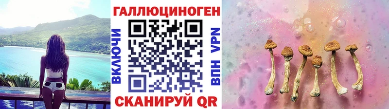 Псилоцибиновые грибы прущие грибы  как найти закладки  Ахтубинск 